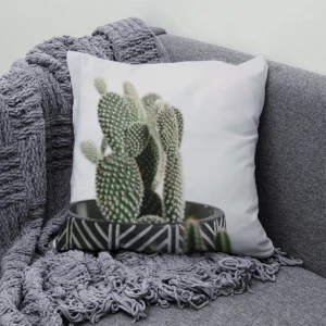 housses de coussins cactus