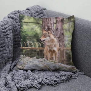 housses de coussins loup
