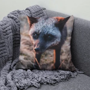 housses de coussins renard