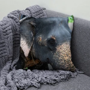 Housse de Coussin Elephant